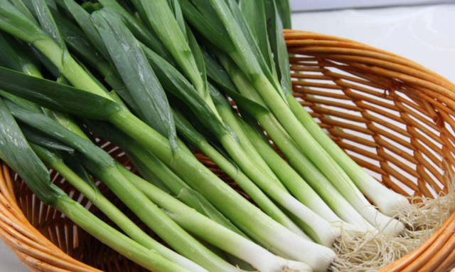 蒜苗 (Garlic Sprout)